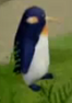 Tot penguin