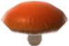 ShiitakeMushroom (TWoA)