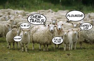 Sheeple