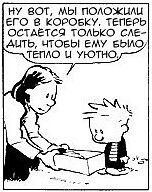Раненый енот.jpg