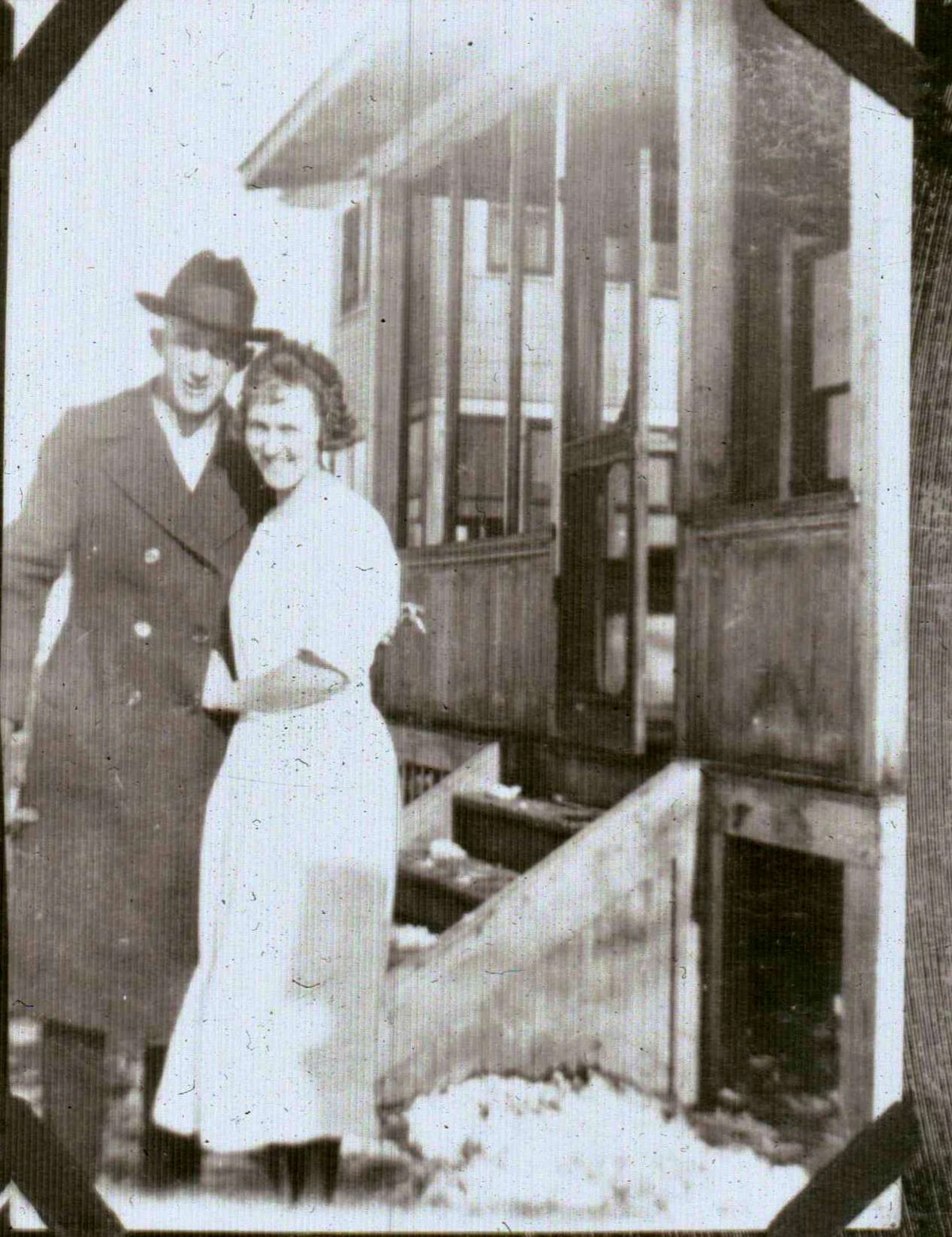 The Alex Hogan Wiki You Need To Read - n6lscbp