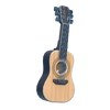Acoustic Guitar