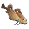 Sculpin