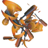 Brown Leaves