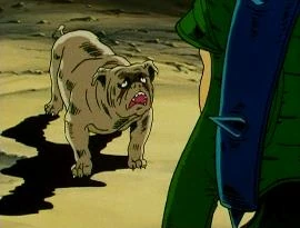 latest?cb=20110601025552