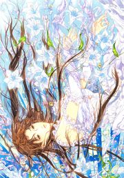  by Akimi Kasai