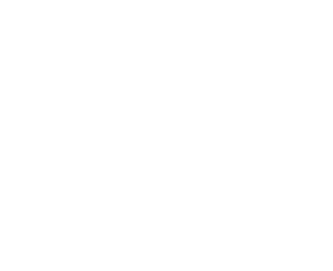 Team Cherry Logo.png