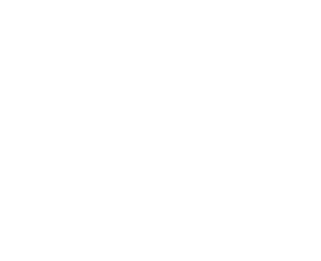 Team Cherry Logo