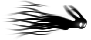 Icon HK Shade Cloak Art.png