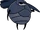 Husk Guard