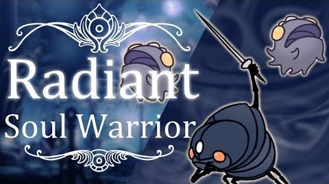 Soul Warrior Radiant (Hitless) Hollow Knight