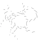 Знак Ведьмы