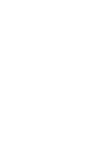 Seal 3