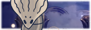 Banner Gorb