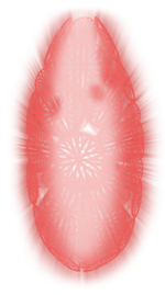 Grimm Shield.png