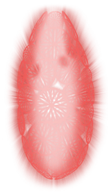 Grimm Shield.png
