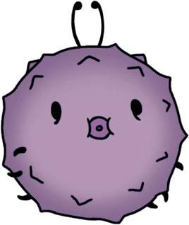 B Hwurmp