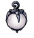 Lumafly Lantern.png