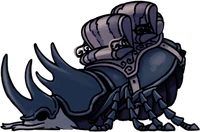 Cadavere di un Coleottero