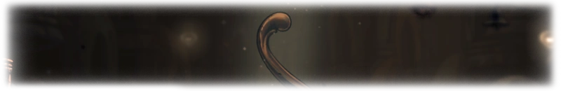 Фон Звонвилль