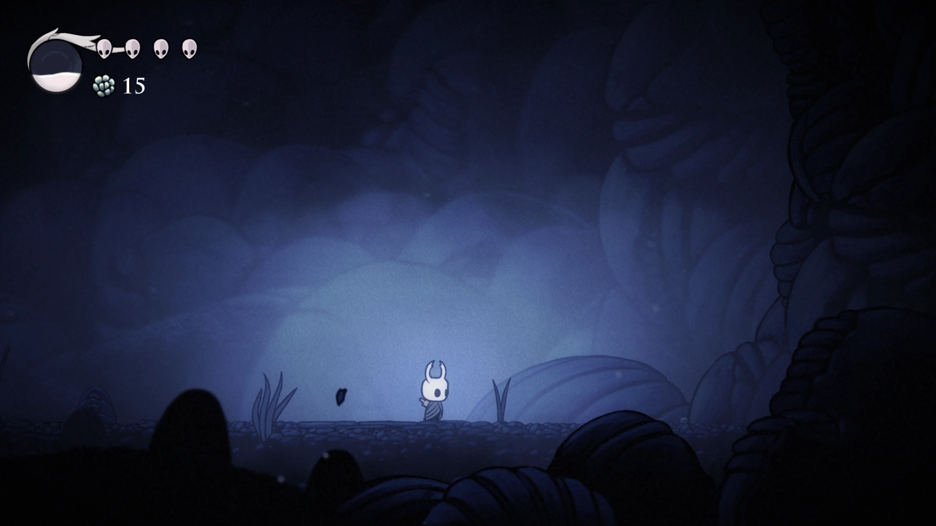 Screenshot HK Hollow Knight Beta 03