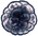 Яйцо Королевы
