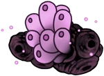 B Voltvyrm