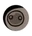 Ползёныш ЖО