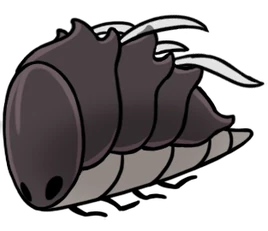 Дикая зверомуха