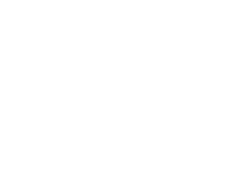 Team Cherry