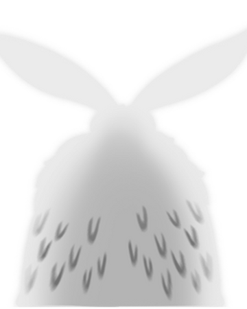 Papillon De Nuit Sans Nom Hollow Knight Wiki Fandom