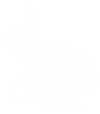 Seal 13