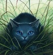 Bluestar-warrior-cat-16180327-220-229