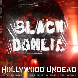 Black Dahlia