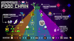 NHAFoodChain