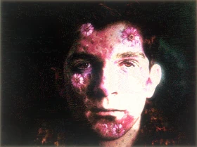 Fae Flu | Home Safety Hotline Wiki | Fandom