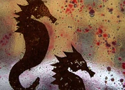 decorative window (in this case, the design may be in the window or in a film)