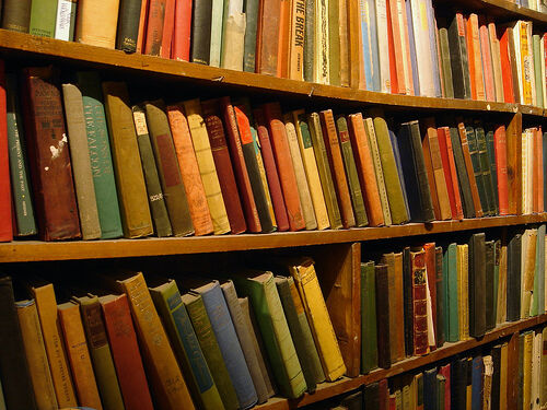 Bookshelves.jpg