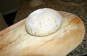 what is yeast wikipedia Sunflower Bread, a Derivative of Nancy Silverton's