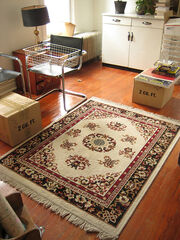 Guet Room New Rug