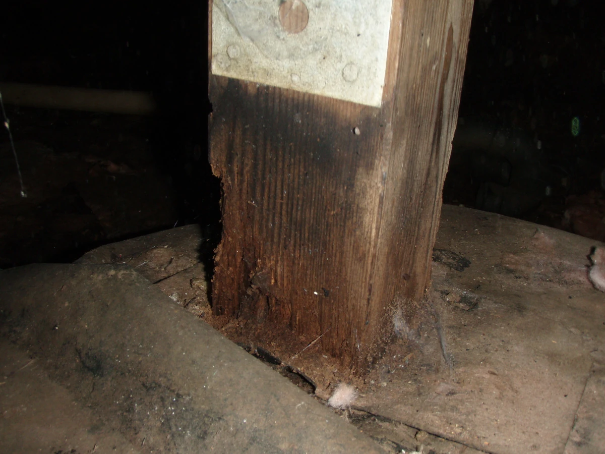 Dehumidifier Home Wiki Fandom