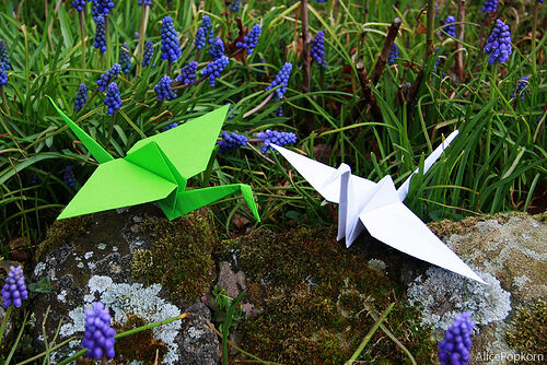 Origami - Wikipedia