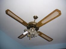 Ceiling Fan With Cane Blades