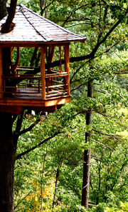 Treehouse