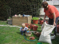 Spring gardening