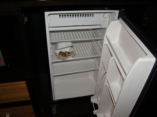 Hotel View- Fridge.jpg