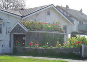 Green Roof