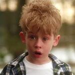 Kevin Mccallister Home Alone Wiki Fandom