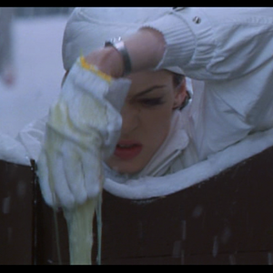 Home Alone 3 Home Alone Wiki Fandom