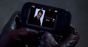 Steve.png